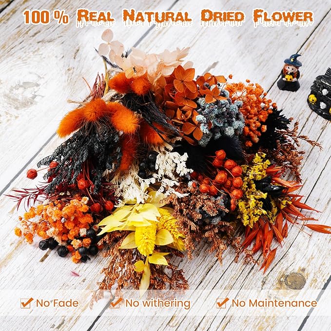 10/12/24/36 Pack Mini Dried Flowers - Image 6