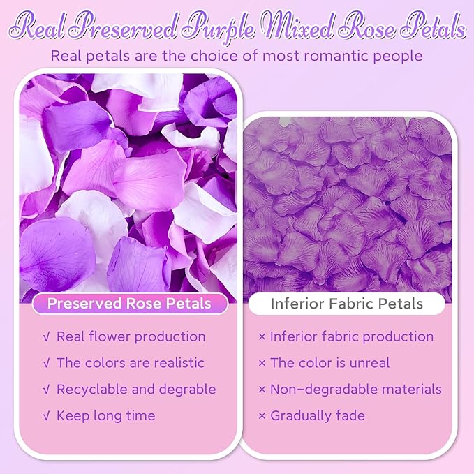 180 PCS Real Purple White Rose Petals - Image 6