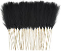 50pcs Faux Pampas Grass, 21.6" Short Artificial Pompous Grass Floral Fake by ObbsieDirect