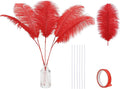 Holmgren Red Ostrich Feathers for Vase by Holmgren