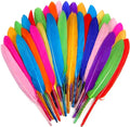FeelfunFeather 120pcs Mix Colur Goose Cochettes Feather 4-6 inch 10-15cm Bulk by FeelFunFeather