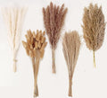Natural Dried Pampas Grass Decor, Artificial Flowers by ANPROOR
