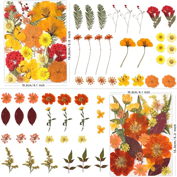 120 Pcs Dried Pressed Flowers for Crafts, Real Natural Flowers in Vibrant Yellow - Image 2