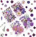 100P Purple Pressed Flowers – Real Dried Flowers by LUXEEASE