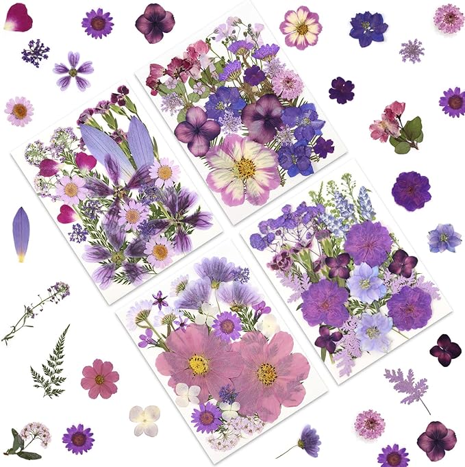 100P Purple Pressed Flowers – Real Dried Flowers by LUXEEASE
