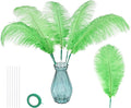 Bulk Grass Green Ostrich Feathers by whitefeather