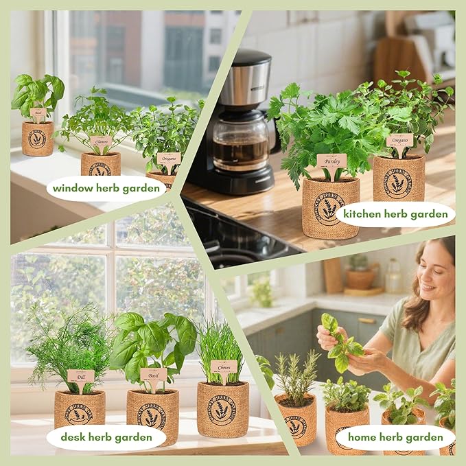 10 Indoor Herb Garden Kit- Burlap Pots, Organic Seeds, Herb Garden Planter - Image 4