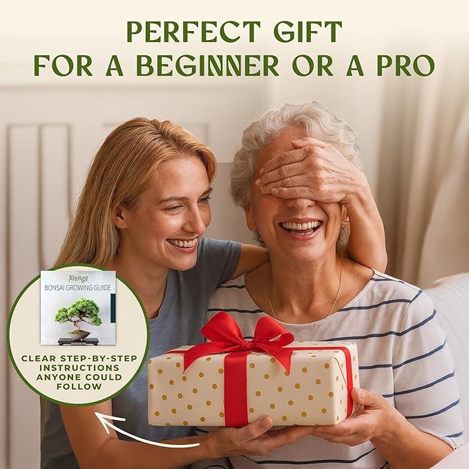 AVERGO Bonsai Tree Kit for Beginners – 5X Unique Japanese Bonzai Trees | - Image 5
