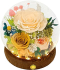 Valley of Rain & Forest Long-Lasting Real Flowers, Unique Floral Gift by ValleyofRainForest