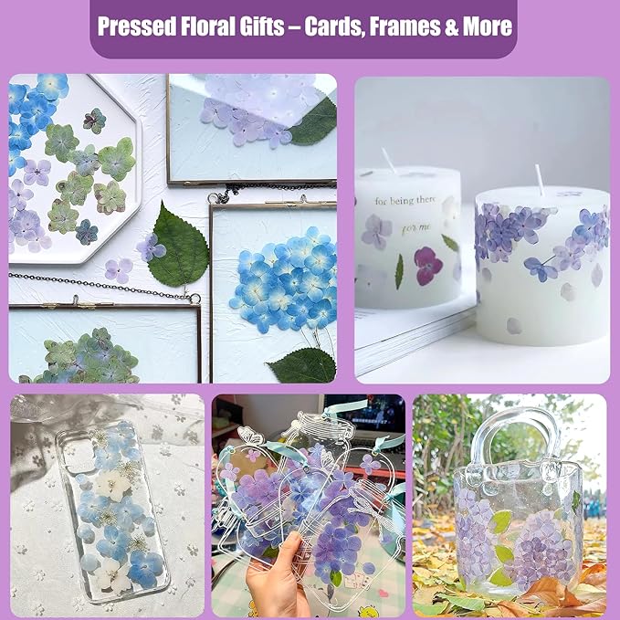 LUXEEASE 140 Pcs Dried Pressed Hydrangea Flowers - Image 5