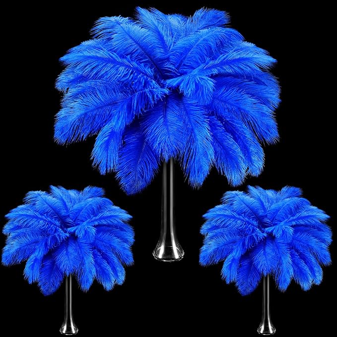 Maitys 90 Pcs Large Natural Ostrich Feathers Bulk 14-16 Inch 12-14 Inch 10-12 by Maitys