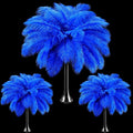 Maitys 90 Pcs Large Natural Ostrich Feathers Bulk 14-16 Inch 12-14 Inch 10-12 by Maitys