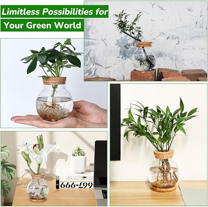 Propagation Station, Larger Capacity Ball Vase - Image 5