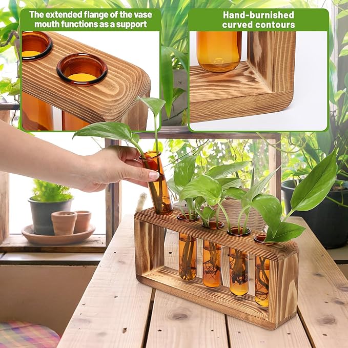 Glass Plant Propagation Station - Image 4
