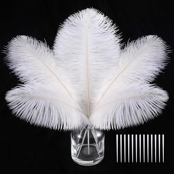 SOGUGOM White Craft Ostrich Feathers by SOGUGOM
