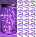 24 Pack Purple Fairy Lights 7Ft 20 LED Twinkle String Lights 3 Modes Battery by chzk