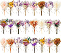 12/24 PCS Charming Dried Flowers Bouquet by WelcometoLawnIdyll