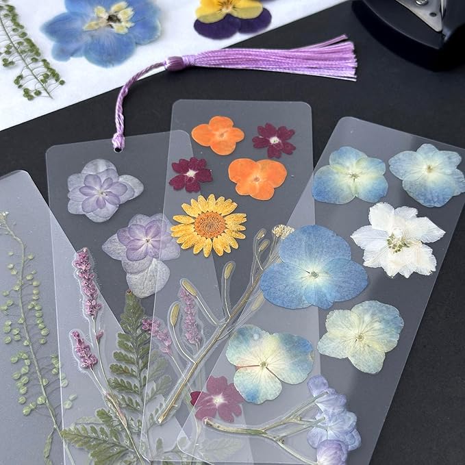 12Types Real Dried Pressed Flowers Sunflowers - Image 6