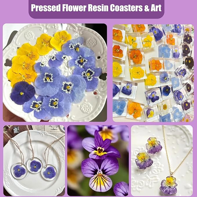 64 Pcs Dried Pressed Viola Flowers, 8 Color Gradient Purple Blue Yellow White - Image 4