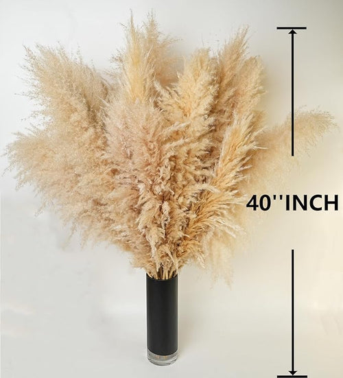 10 PCS 40" Tall Pampas Grass Stems in Natural Beige, Add a Boho Touch to Your - Image 2
