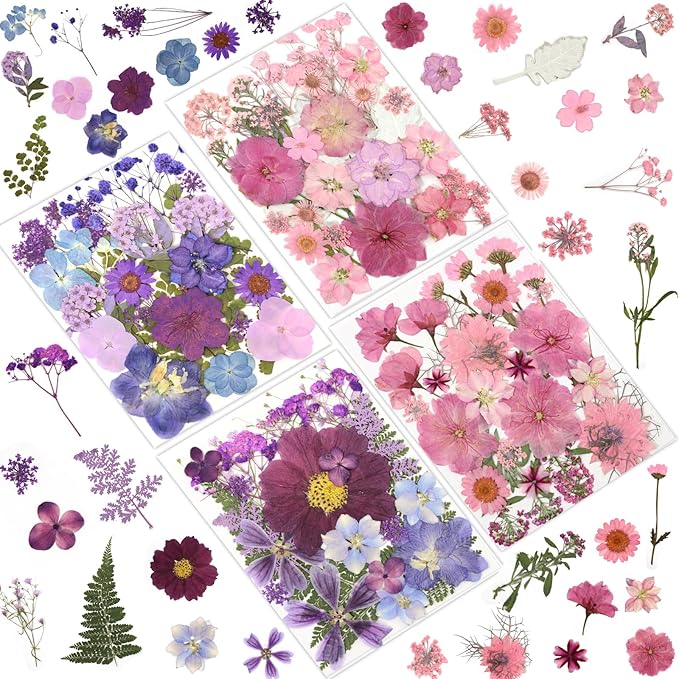100 Pcs Dried Pressed Flowers for Crafts, Preserved & Dehydrated in by LUXEEASE