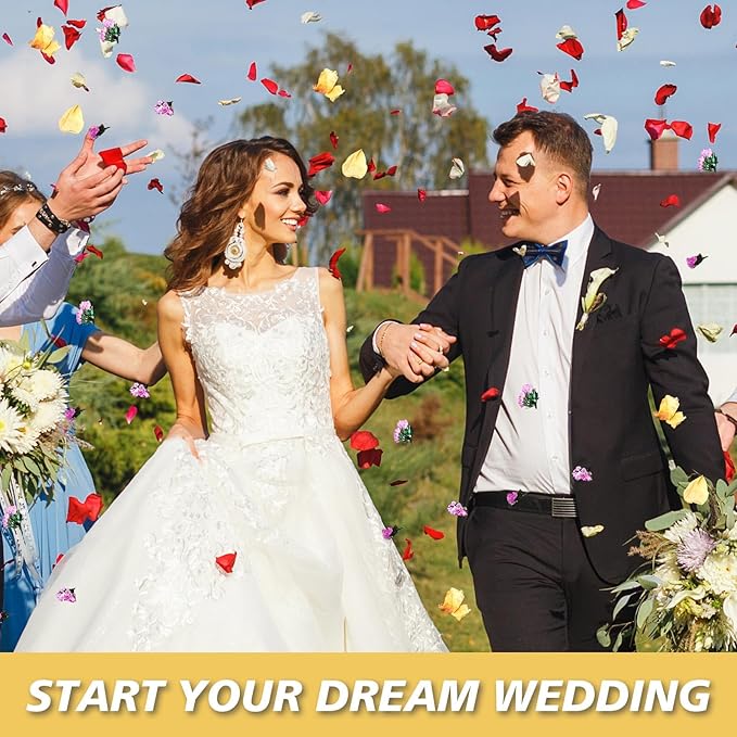 20+ Cups Real Dried Flower Petals, Biodegradable Wedding Flower Confetti - Image 3