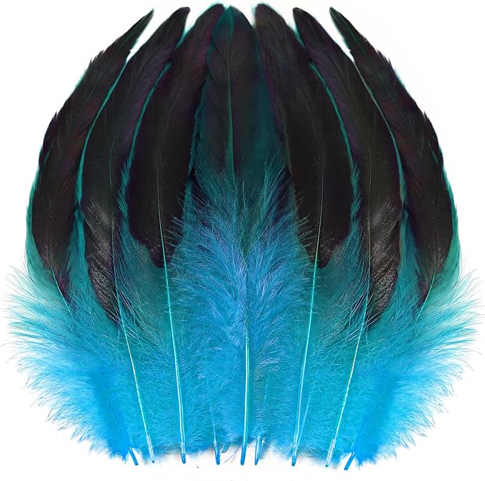 SOGUGOM Turquoise Rooster Tail Feathers by SOGUGOM
