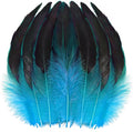 SOGUGOM Turquoise Rooster Tail Feathers by SOGUGOM