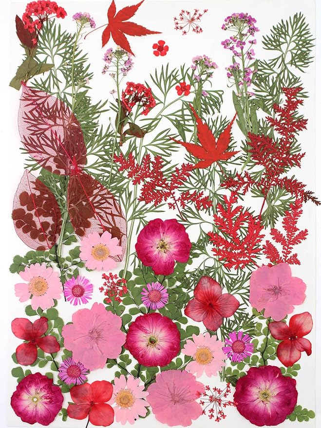 15 Types 48pcs Real Dried Pressed Flowers Leaf Plant Herbarium by AHTONG
