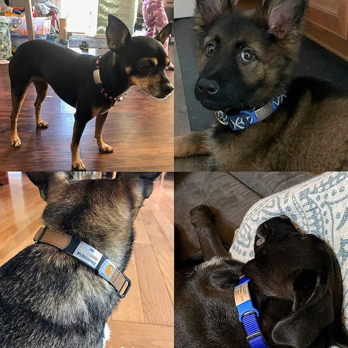 Custom Personalized Dog & Cat ID Tags - Image 5