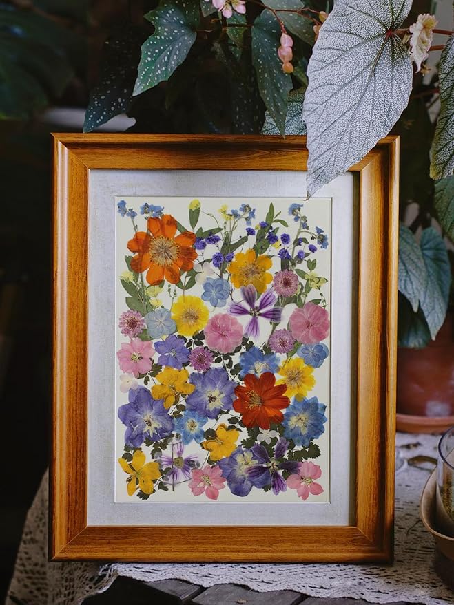 17 Types Retro Dried Pressed Flowers Leaf Plant Herbarium - Image 4