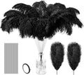 Hanaive 150 Pcs Ostrich Feathers Set Bulk Plumes 12-14 Inch 70 Pcs Large by Hanaive