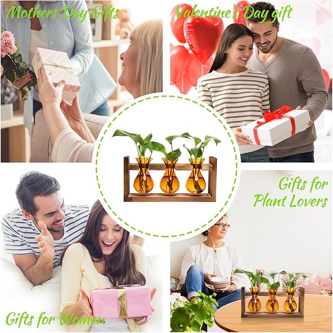 Plant Propagation Station Plant Terrarium Unique Birthday Gifts - Image 6
