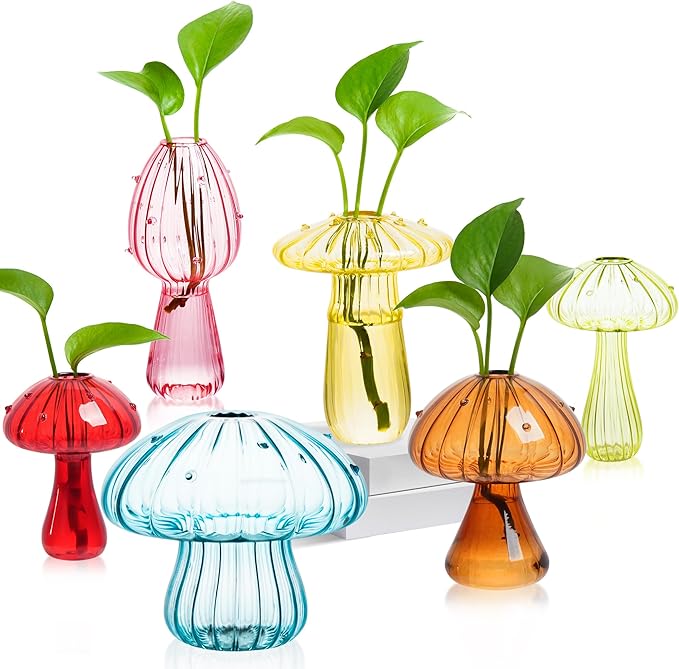 Plant Propagation Station, Propagation Stations, Small Plant Terrarium by JXWENBYX