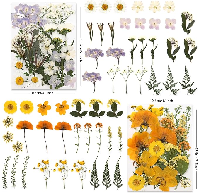 110P 4 Color Long Stem Dried Flowers - Image 2