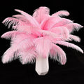 THARAHT Pink Ostrich Feathers 12pcs Natural Bulk 8-10Inch 20cm-25cm by THARAHT