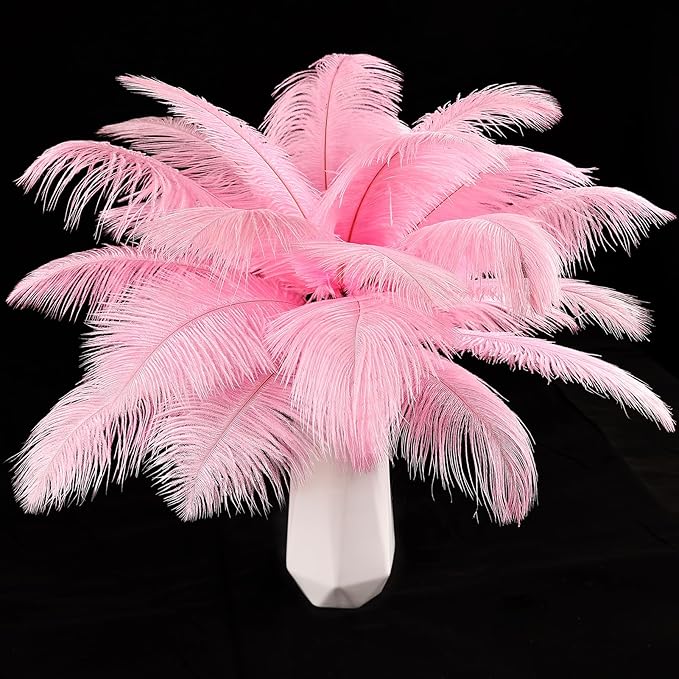 THARAHT Pink Ostrich Feathers 24pcs Natural Bulk 8-10Inch 20cm-25cm by THARAHT