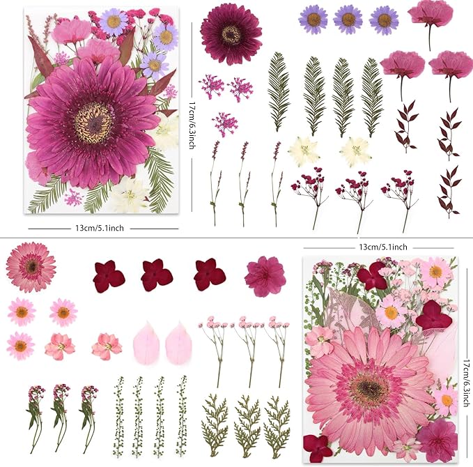 100 Pcs Large Dried Pressed Flowers - Image 2