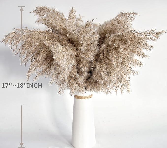 Pampas Grass Decor, Natural Dry Pampas Grass Small, Short Pampass Bulk - Image 2
