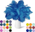 NEWONG 30pcs Light Blue Ostrich Feathers Natural Bulk 9-12in（23-30cm） Vase by NEWONG
