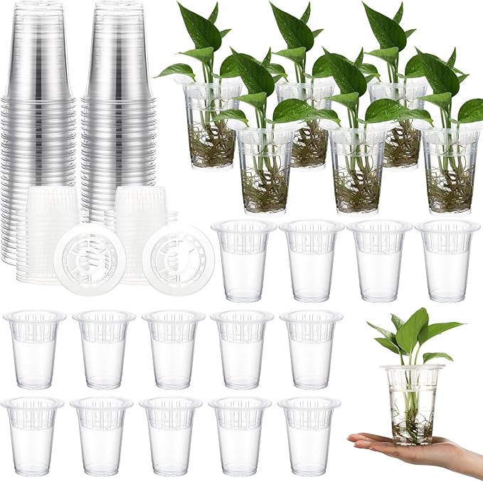 Baderke 35 Pack Plastic Plant Propagation Station Desktop Terrariums Plant by Baderke