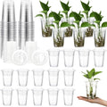 Baderke 35 Pack Plastic Plant Propagation Station Desktop Terrariums Plant by Baderke