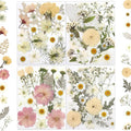 80 Pcs Dried Flowers for Crafts, Real Natural Dried Pressed Flowers in Soft by LUXEEASE