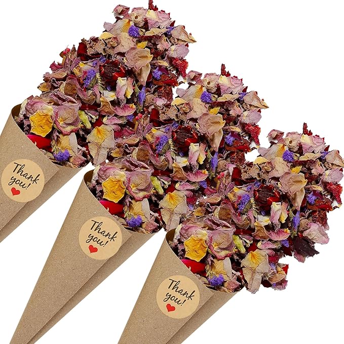 PATIKIL Dried Flower Confetti Cones by PATIKIL
