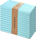 Urban Villa Easter Napkins Aqua Color Cloth Napkins Oversized 20x20 Inches 100% by CottonTrends