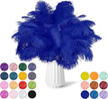 NEWONG 30pcs Royal Blue Ostrich Feathers Natural Bulk 11-14inch Vase Craft by NEWONG