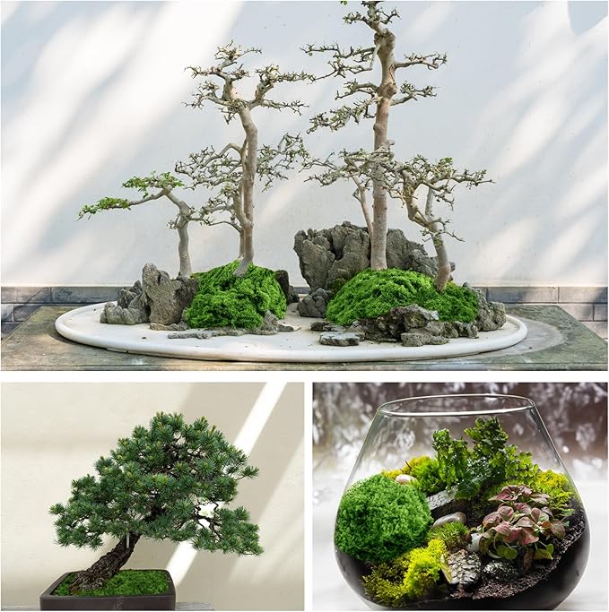 Draupnir Fake Green Moss for Plants Indoor, 5.3OZ Fake Moss for Crafts - Image 3