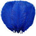 YAKRUNA 30PCS Royal Blue Ostrich Feathers Bulk 12-14 Inches by YAKRUNA
