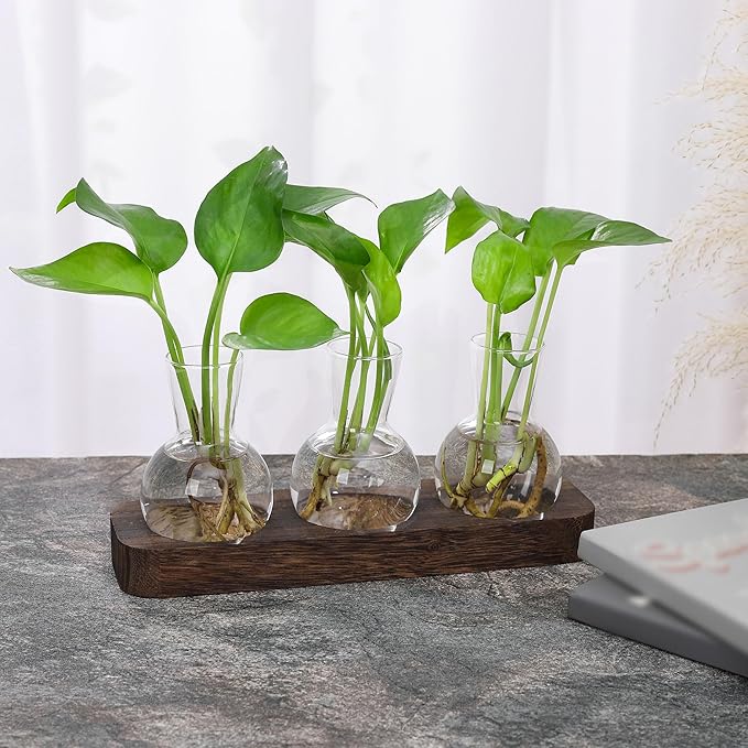 YIBOT Propagation Stations, Plant Propagation Vase, Desk Plant Terrarium - Image 5