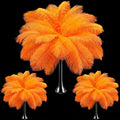Maitys 90 Pcs Large Natural Ostrich Feathers Bulk 14-16 Inch 12-14 Inch 10-12 by Maitys